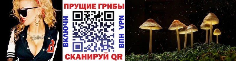blacksprut ссылка Юрюзань Галлюциногенные грибы мухоморы